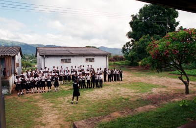 CaminoyZim 2 (3).jpg